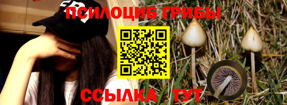 Псилоцибиновые грибы MAGIC MUSHROOMS Дмитров